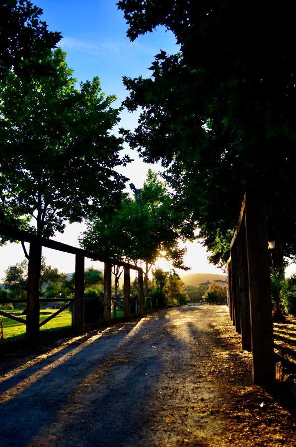 Cortijo Mesa De La Plata Guest House Arcos de la Frontera Eksteriør bilde